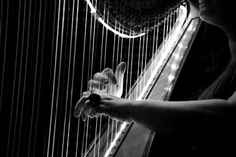 beginner piano lessons